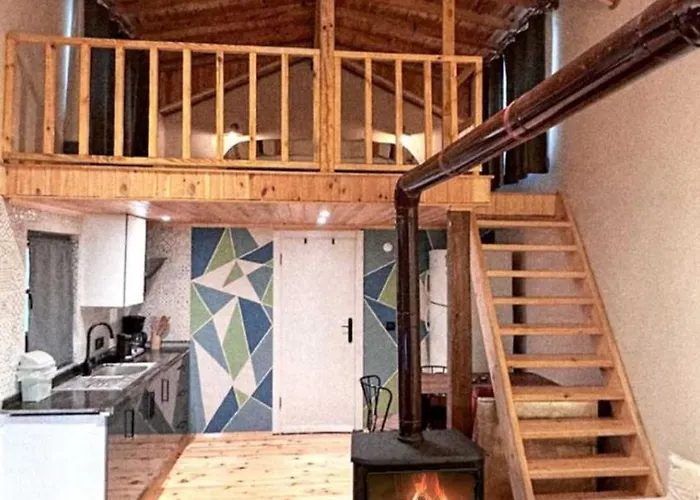 Semesterbostad Deva Garden Tiny House